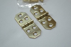 Decorative Polished Brass Hinges (pair)